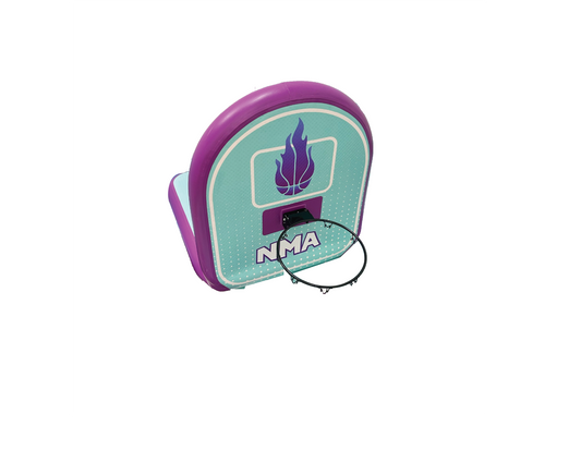 NMA Custom Basketball Hoop